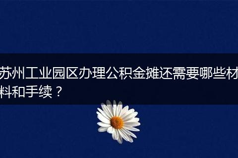苏州工业园区办理公积金摊还需要哪些材料和手续？