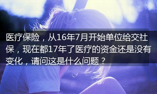 医疗保险，从16年7月开始单位给交社保，现在都17年了医疗的资金还是没有变化，请问这是什么问题？