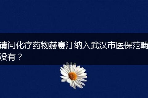 请问化疗药物赫赛汀纳入武汉市医保范畴没有？
