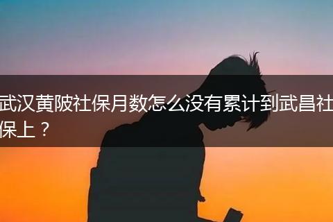 武汉黄陂社保月数怎么没有累计到武昌社保上？