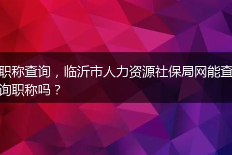 职称查询，临沂市人力资源社保局网能查询职称吗？