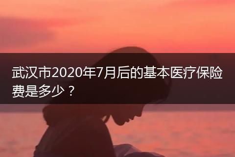 武汉市2020年7月后的基本医疗保险费是多少？