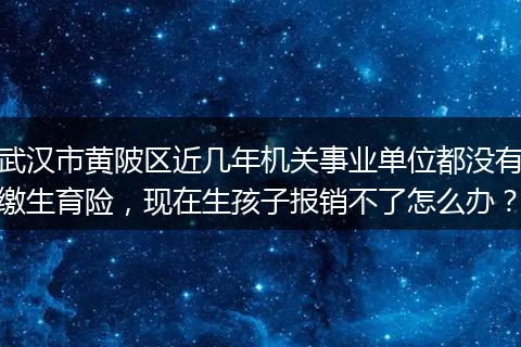 武汉市黄陂区近几年机关事业单位都没有缴生育险，现在生孩子报销不了怎么办？