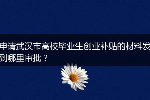 申请武汉市高校毕业生创业补贴的材料发到哪里审批?