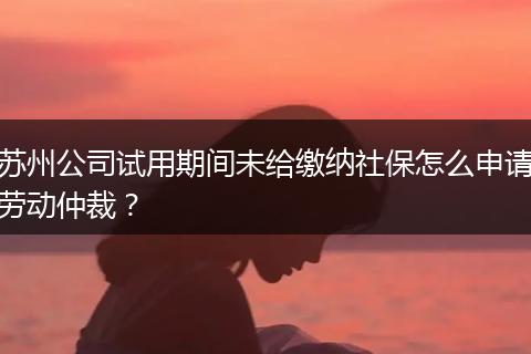 苏州公司试用期间未给缴纳社保怎么申请劳动仲裁？