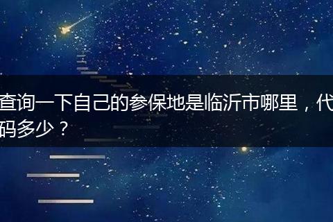 查询一下自己的参保地是临沂市哪里，代码多少？
