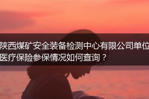 陕西煤矿安全装备检测中心有限公司单位医疗保险参保情况如何查询？