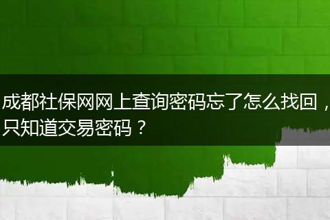 成都社保网网上查询密码忘了怎么找回，只知道交易密码？