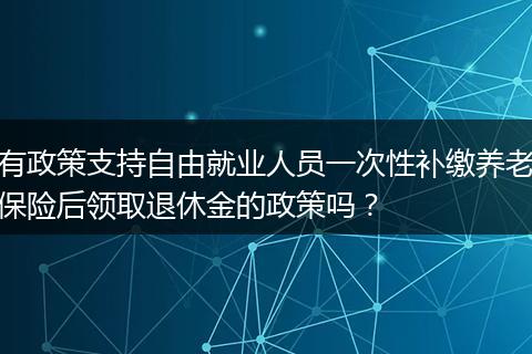 有政策支持自由就业人员一次性补缴养老保险后领取退休金的政策吗？