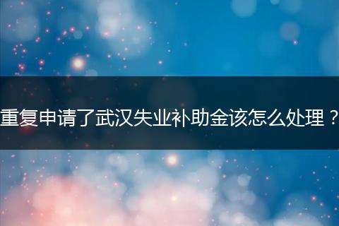 重复申请了武汉失业补助金该怎么处理？
