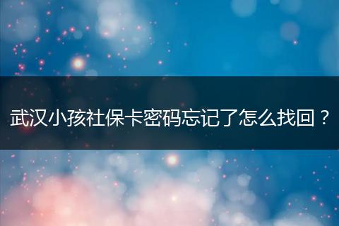 武汉小孩社保卡密码忘记了怎么找回？