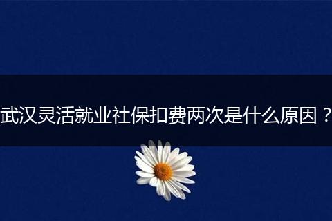 武汉灵活就业社保扣费两次是什么原因？