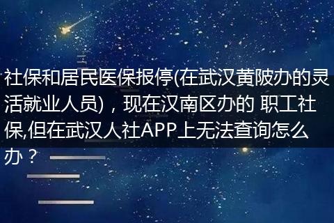 社保和居民医保报停(在武汉黄陂办的灵活就业人员)，现在汉南区办的 职工社保,但在武汉人社APP上无法查询怎么办？