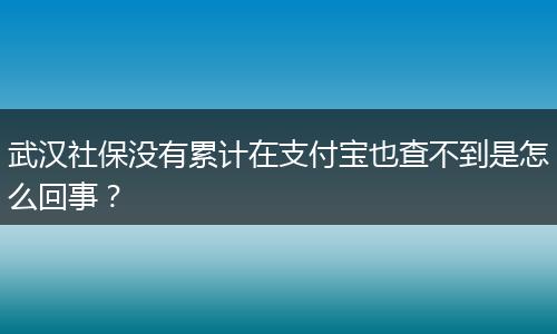 武汉社保没有累计在支付宝也查不到是怎么回事？