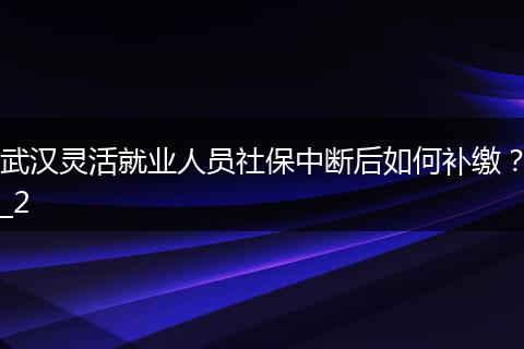 武汉灵活就业人员社保中断后如何补缴？_2