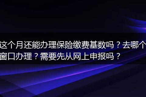 这个月还能办理保险缴费基数吗？去哪个窗口办理？需要先从网上申报吗？