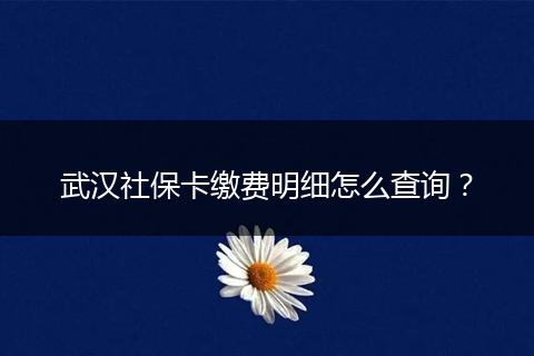 武汉社保卡缴费明细怎么查询？
