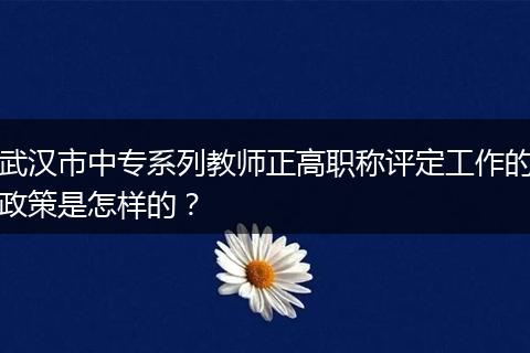 武汉市中专系列教师正高职称评定工作的政策是怎样的？