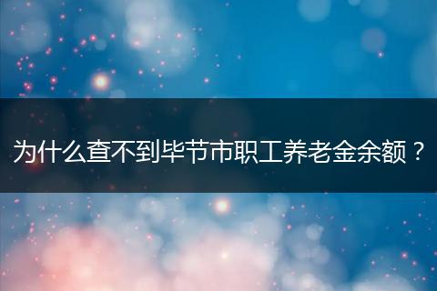 为什么查不到毕节市职工养老金余额？