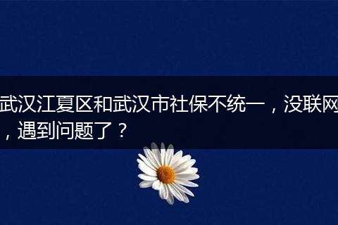 武汉江夏区和武汉市社保不统一，没联网，遇到问题了？
