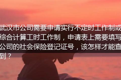 武汉市公司需要申请实行不定时工作制或综合计算工时工作制，申请表上需要填写公司的社会保险登记证号，该怎样才能查到？