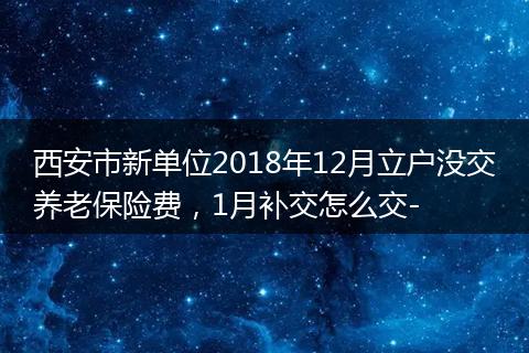西安市新单位2018年12月立户没交养老保险费，1月补交怎么交-