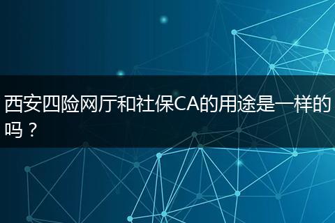 西安四险网厅和社保CA的用途是一样的吗？