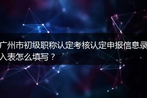 广州市初级职称认定考核认定申报信息录入表怎么填写？