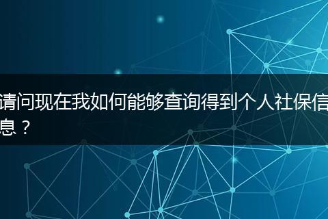 请问现在我如何能够查询得到个人社保信息？