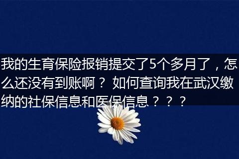 我的生育保险报销提交了5个多月了，怎么还没有到账啊？ 如何查询我在武汉缴纳的社保信息和医保信息？？？