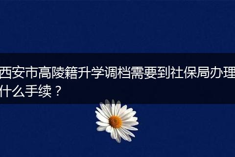 西安市高陵籍升学调档需要到社保局办理什么手续？