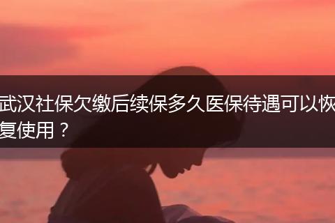 武汉社保欠缴后续保多久医保待遇可以恢复使用？