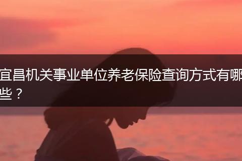 宜昌机关事业单位养老保险查询方式有哪些?