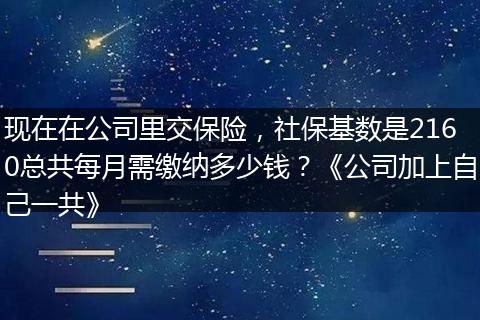 现在在公司里交保险，社保基数是2160总共每月需缴纳多少钱？《公司加上自己一共》