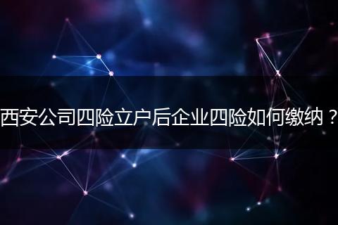 西安公司四险立户后企业四险如何缴纳？