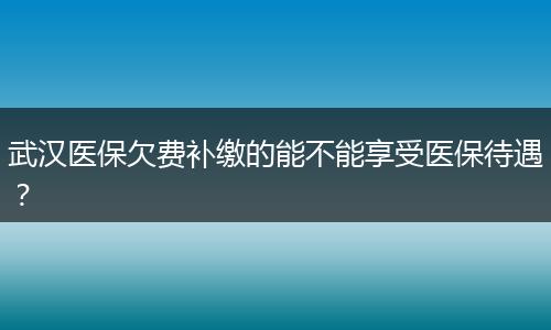 武汉医保欠费补缴的能不能享受医保待遇？