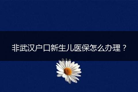 非武汉户口新生儿医保怎么办理？
