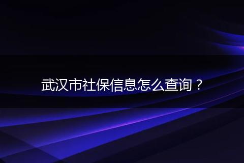 武汉市社保信息怎么查询？