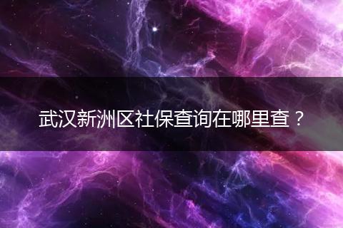 武汉新洲区社保查询在哪里查？