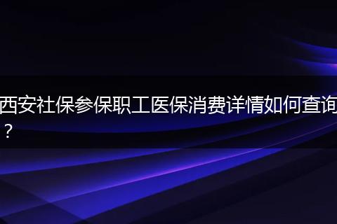 西安社保参保职工医保消费详情如何查询？