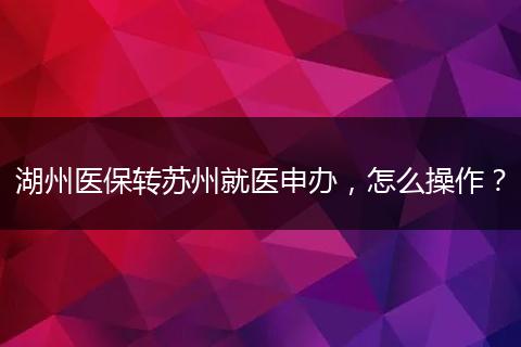 湖州医保转苏州就医申办，怎么操作？