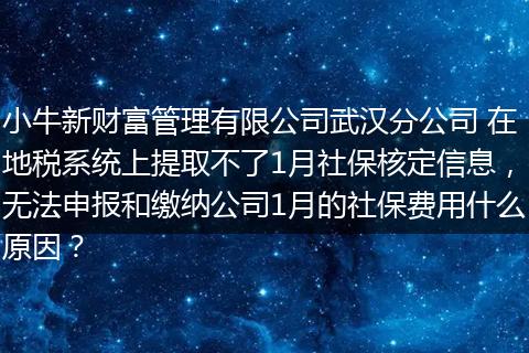 小牛新财富管理有限公司武汉分公司 在地税系统上提取不了1月社保核定信息，无法申报和缴纳公司1月的社保费用什么原因？