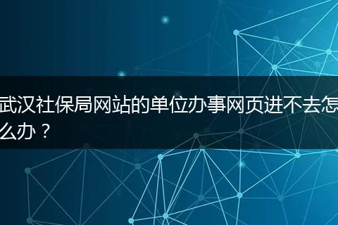 武汉社保局网站的单位办事网页进不去怎么办？