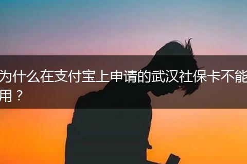 为什么在支付宝上申请的武汉社保卡不能用？