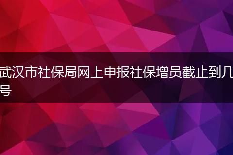 武汉市社保局网上申报社保增员截止到几号