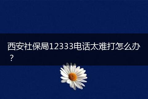 西安社保局12333电话太难打怎么办？