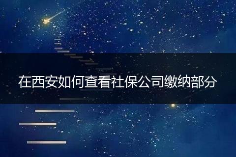 在西安如何查看社保公司缴纳部分