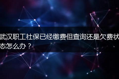 武汉职工社保已经缴费但查询还是欠费状态怎么办？