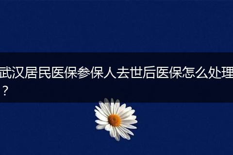武汉居民医保参保人去世后医保怎么处理？