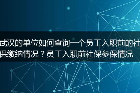 武汉的单位如何查询一个员工入职前的社保缴纳情况？员工入职前社保参保情况